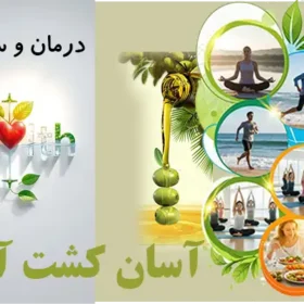 روغن زیتون برای درمان ریزش مو روغن زیتون برای درمان ریزش مو