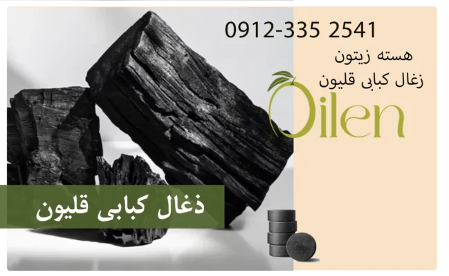 هسته زیتون | تولید زغال از هسته زیتون هسته زیتون | تولید زغال از هسته زیتون
