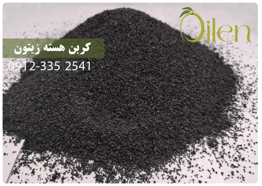 کربن هسته زیتون